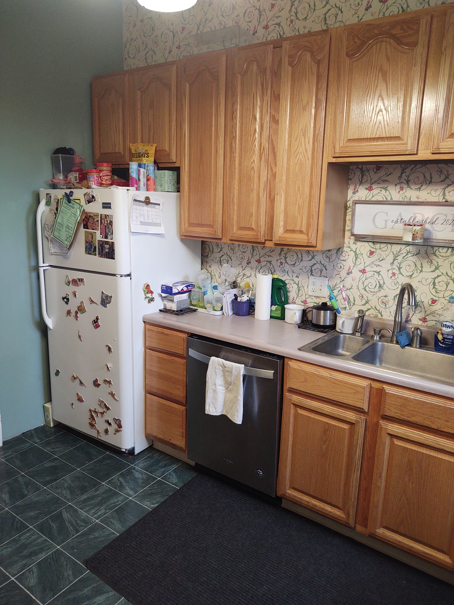 Dishwasher & garbage disposal - 617 W South St