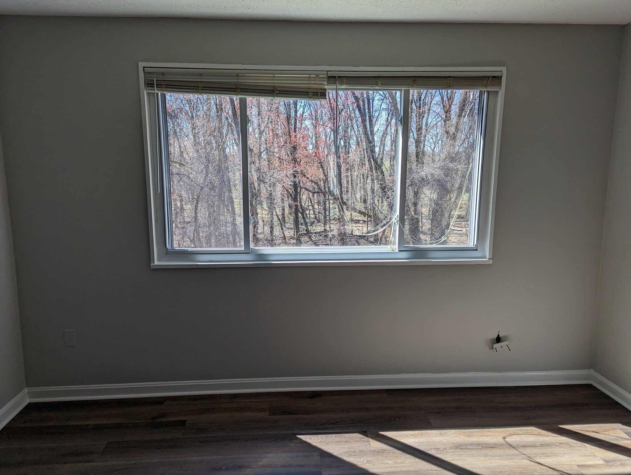 Large window in the living room - 3831 Hamilton Street