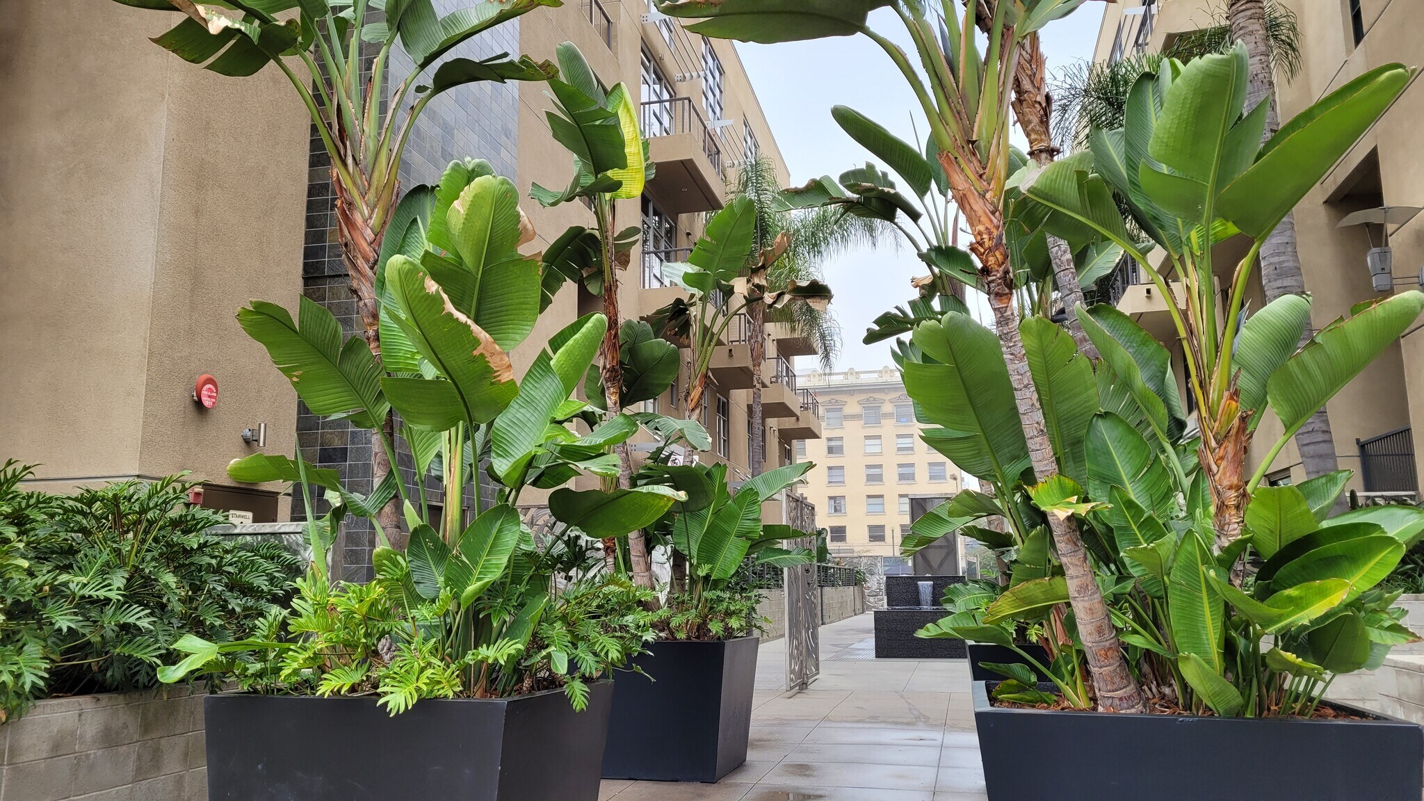 Building Photo - 133 The Promenade N