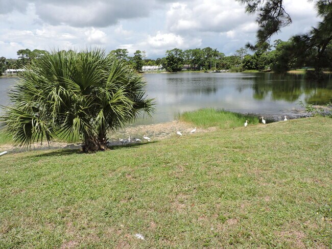 Building Photo - 4529 Square Lake Dr