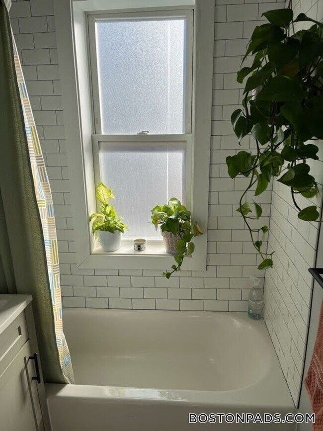 Building Photo - 233 Lafayette St