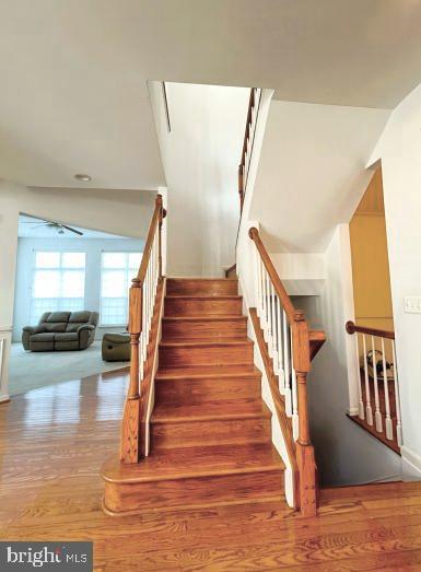 Building Photo - 7205 Lyndam Hill Cir