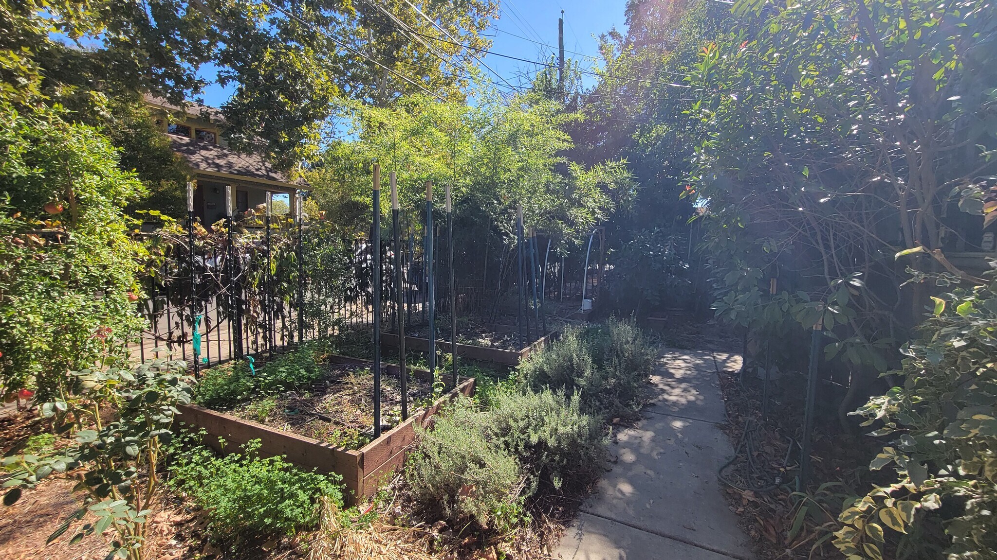 Building Photo - 3116 San Carlos Way