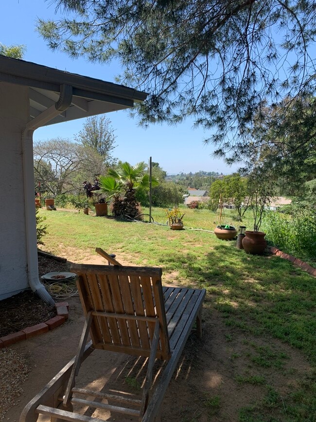 Views of the backyard - peaceful space - 1401 Via Lima