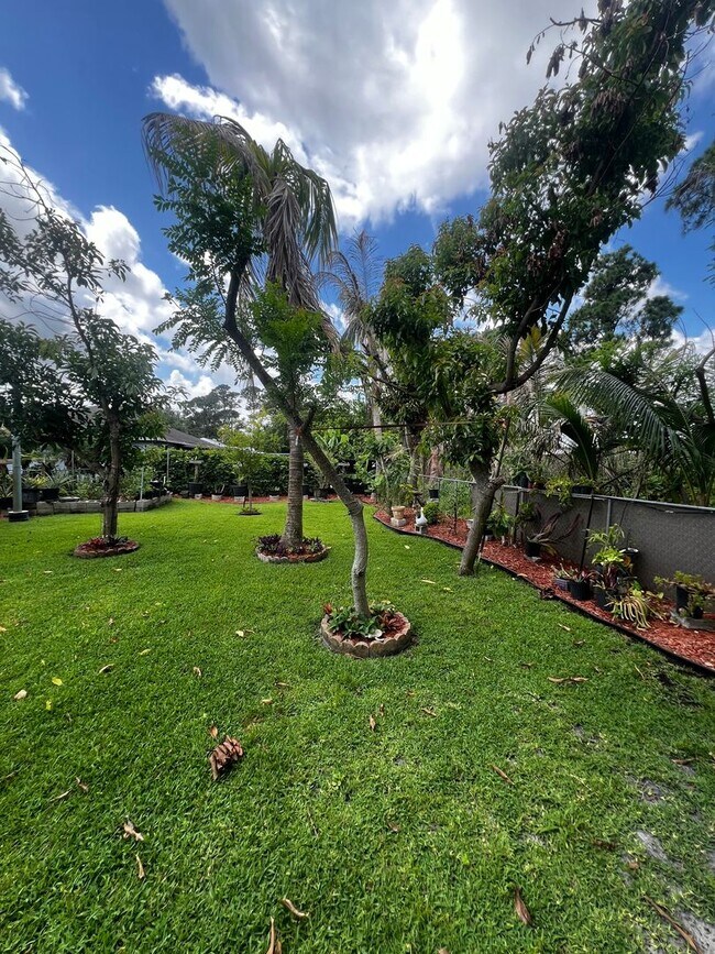 Building Photo - 3 BEDROOM 2 BATH CONVENIENTLY LOCATED WITH A TROPICAL OASIS IN THE BACK YARD!