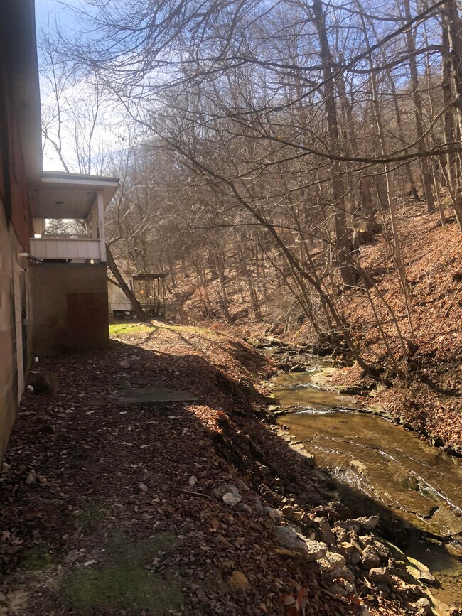 Small Backyard - 507 N 12th St