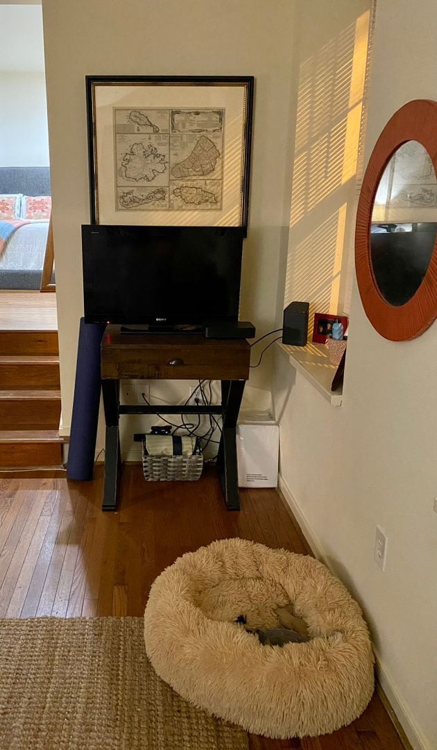 Building Photo - 517 N Harrison St