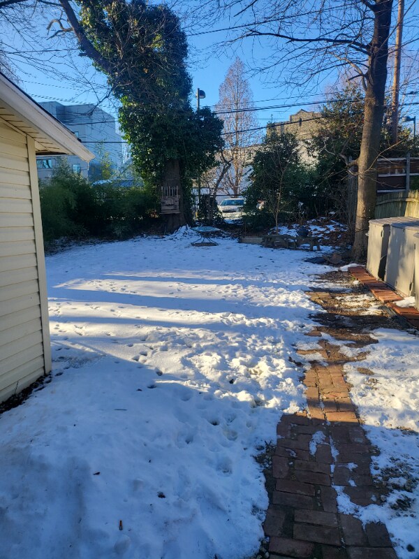 Building Photo - 119 E Mt Airy Ave