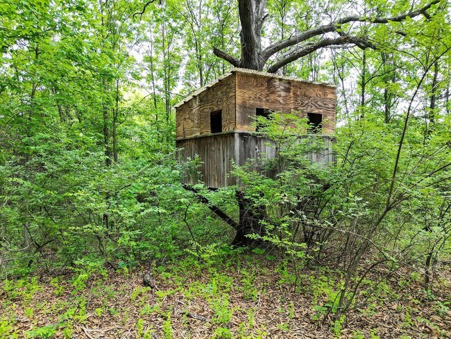 Building Photo - 3 Bedroom house