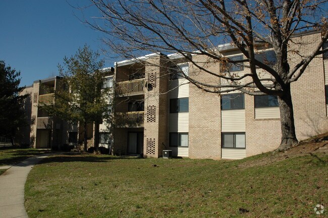 Primary Photo - Burgundy Park