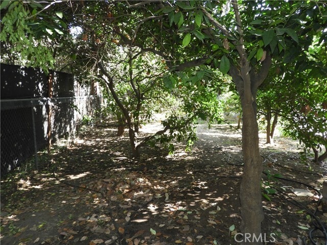 Building Photo - 1554 Las Lunas St