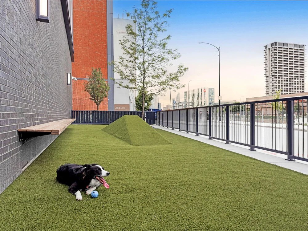 Building Photo - 1151 W Van Buren St