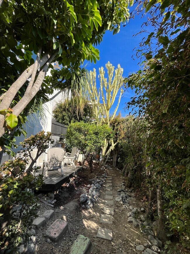 private outdoor space - 934 Micheltorena St