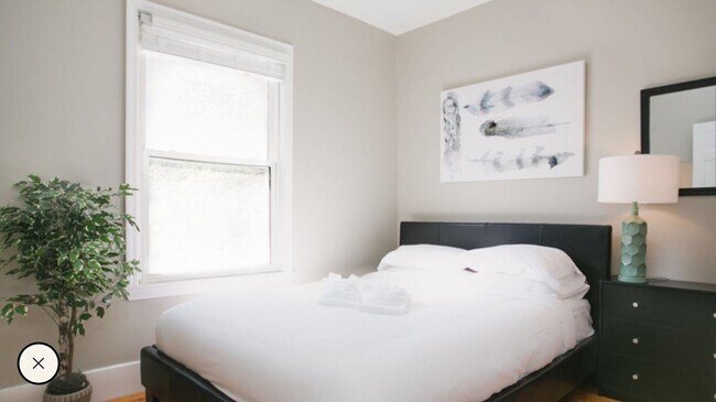 Building Photo - Furnished 5 Bed / 3 Bath Near Harvard Square | Central A/C | 9/1