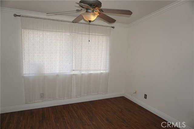 Building Photo - 1710 Maxwell Ln