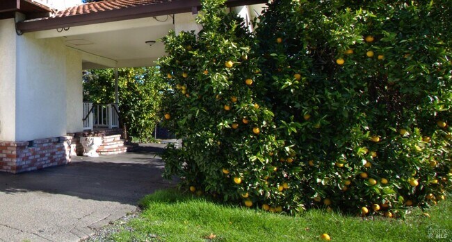 Building Photo - 201 (20300 Arnold)