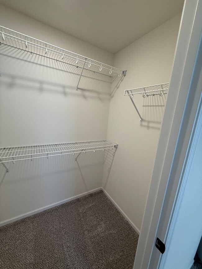 Building Photo - Brand New South End 4 bed/2 bath