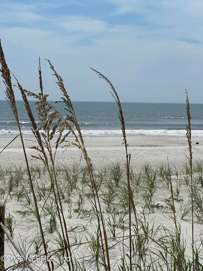 Building Photo - 935 Seashell Ln