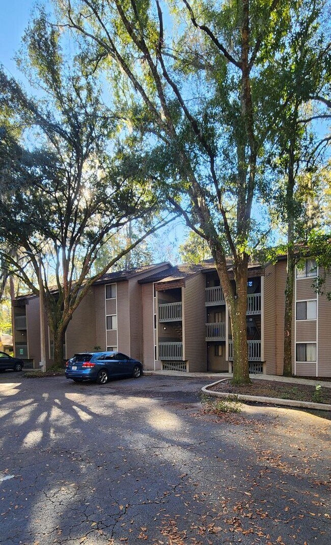Building Photo - 2 bedroom/2 bath condo in Treehouse Village