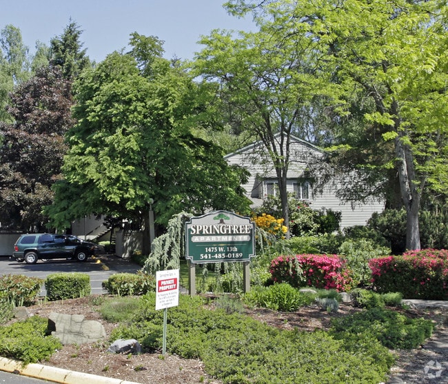 Building Photo - Springtree Apartments