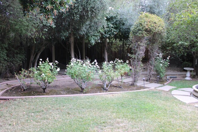 Building Photo - Gorgeous Single Story 3 Bedroom, 2 Bath wi...