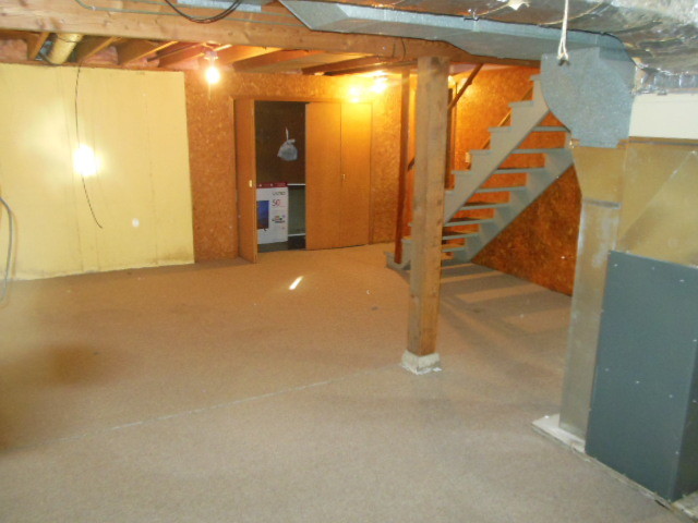 Basement - 1727 Dill St