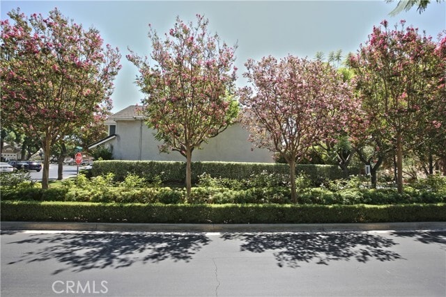 Building Photo - 3211 Armsley Dr