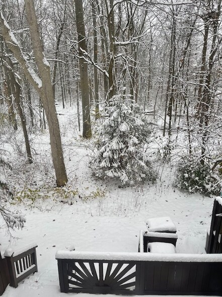 Building Photo - 1913 Ridgebury Dr