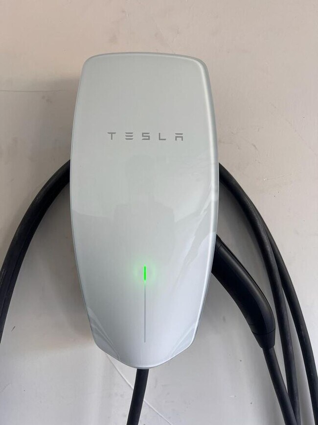 Building Photo - 1010 Mud Pie Ln