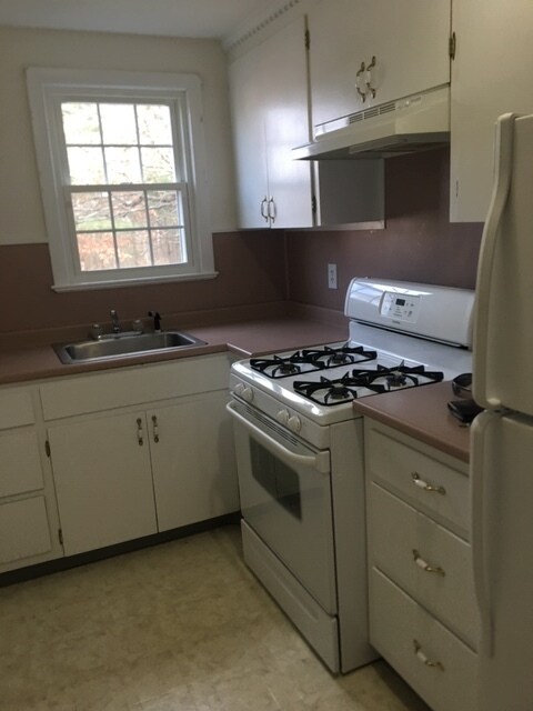 homes for rent jamaica plain ma