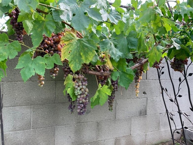 Building Photo - 1320 3 Ranch Rd