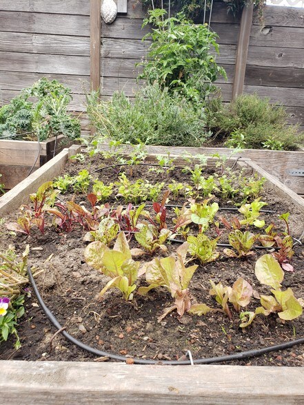 Building Photo - 5421 Market St