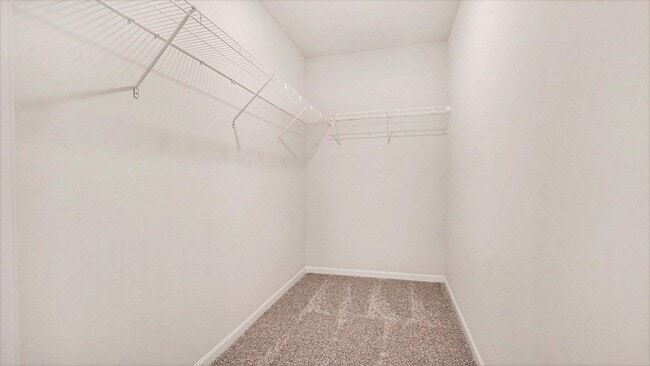 Building Photo - 1601 Salt Springs Dr