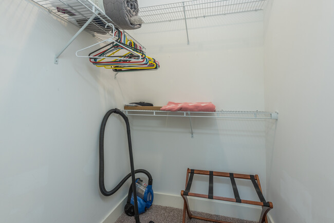 Large Closet - 19 Plant Pl