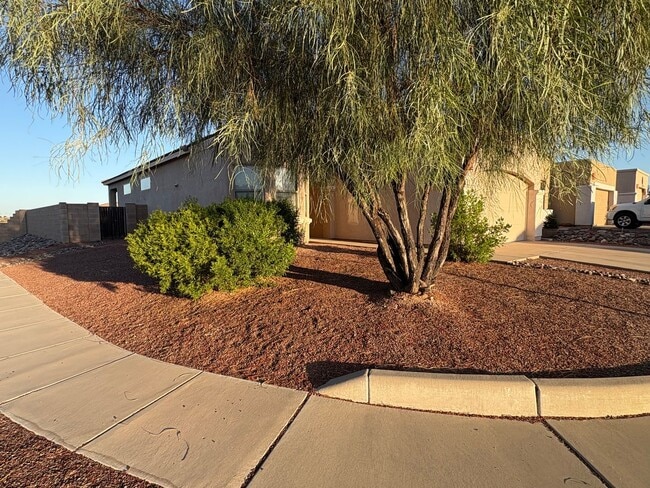 Primary Photo - Vail School District