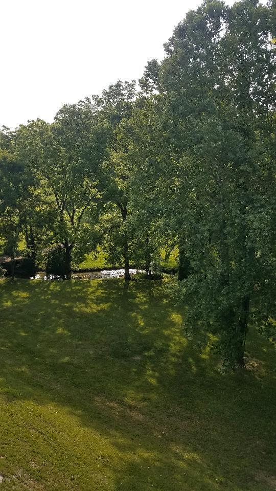 Building Photo - 364 Rock Springs Rd