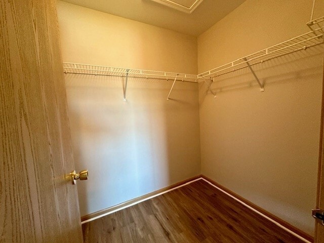 Building Photo - 146 Bertram Dr