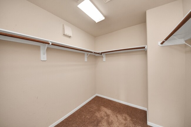 Building Photo - 24114 Courtland Oaks St