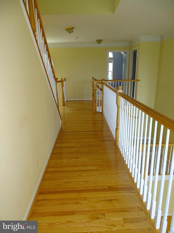 Building Photo - 213 Silverbell Ct