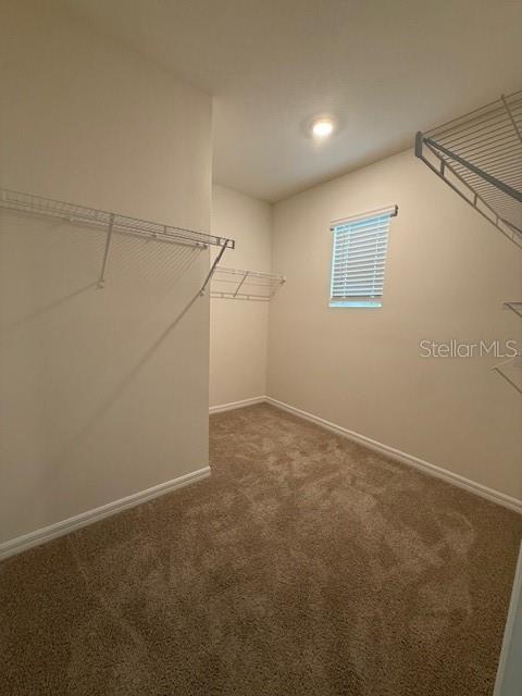 Building Photo - 4094 Giorgio Dr