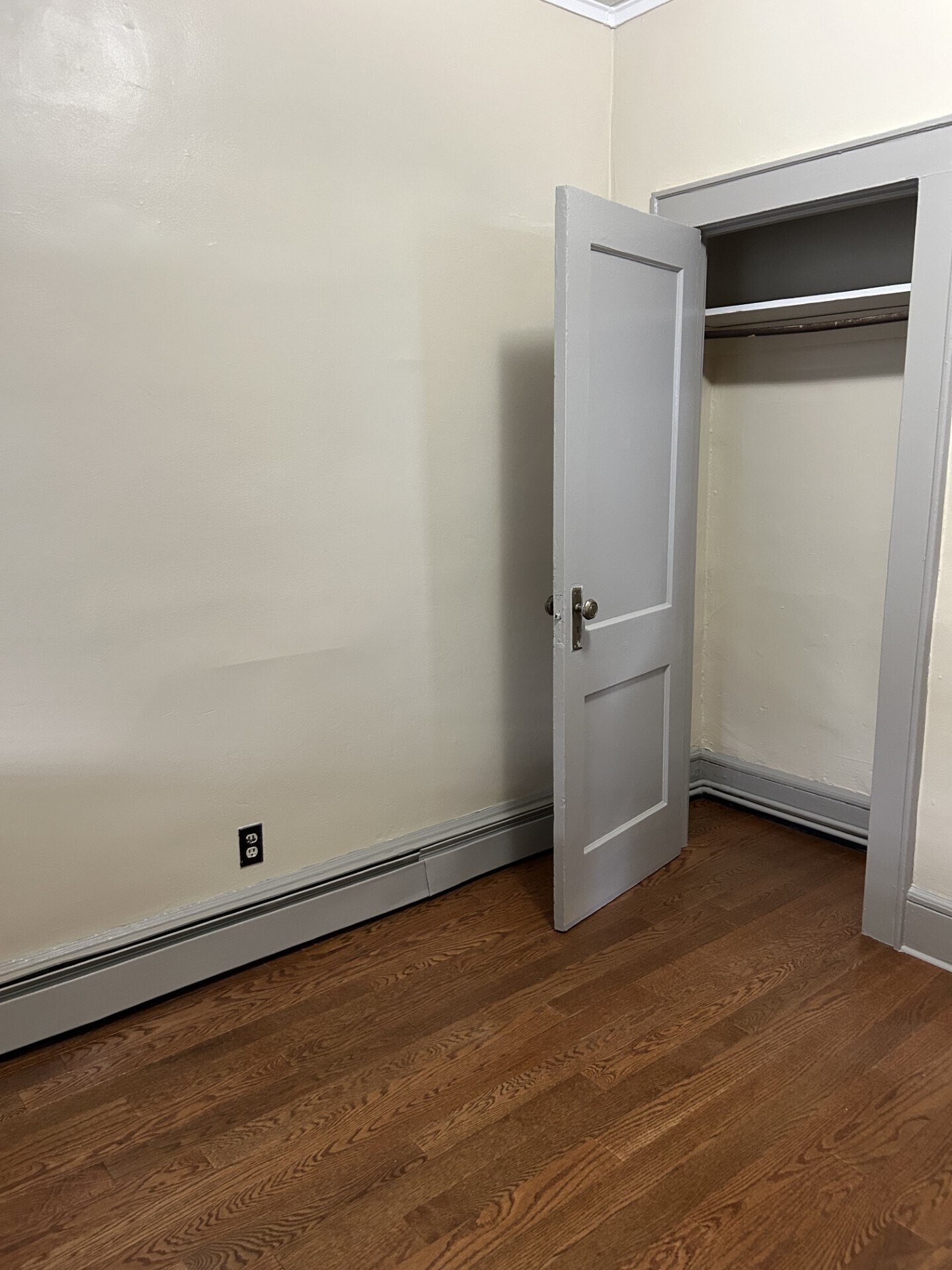 Bedroom Closet - 141 Franklin Ave