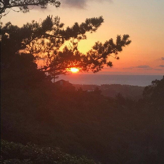 Building Photo - Peaceful Condo with Stunning Sunset & Ocea...
