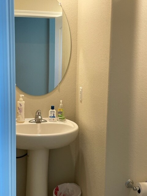 half bathroom - 365 Rosefinch St