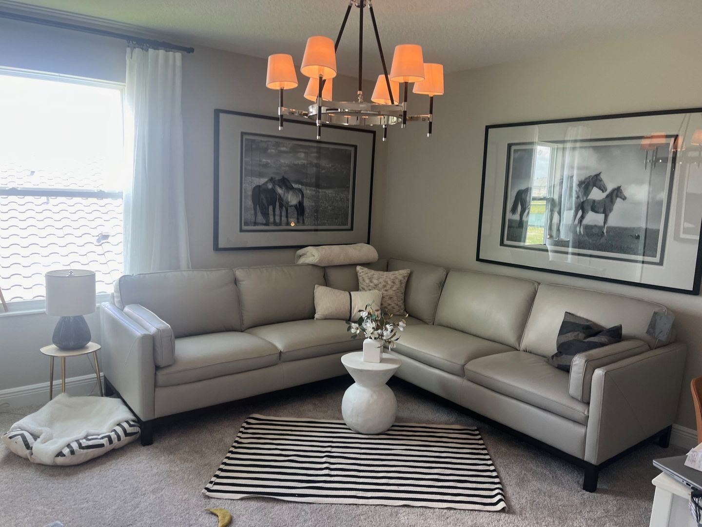 Building Photo - 1729 Drummond Pt