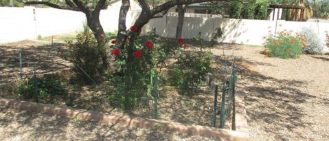 Building Photo - 3527 E Trevino Dr