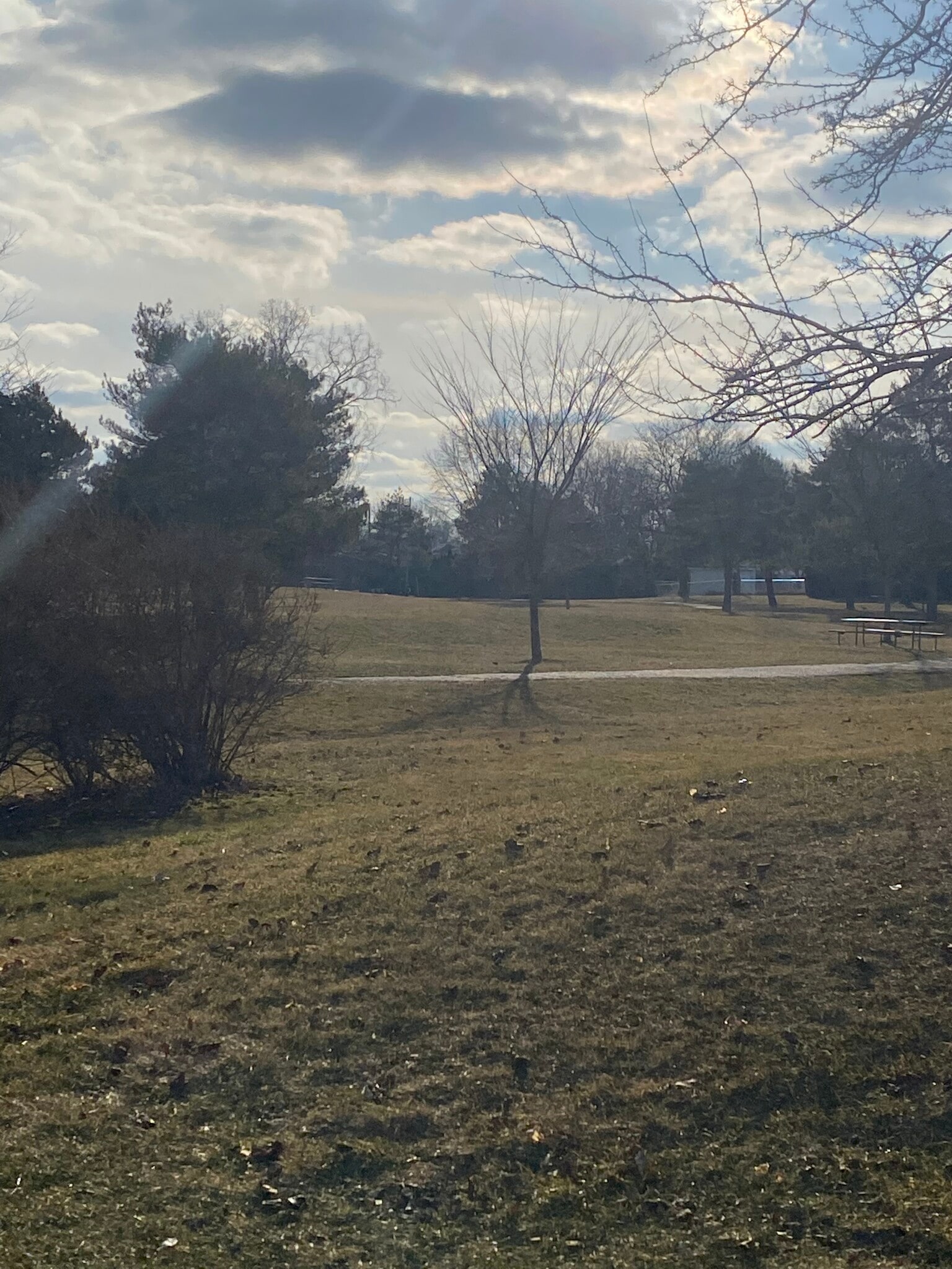 Park next to condo - 34119 Garfield Cir