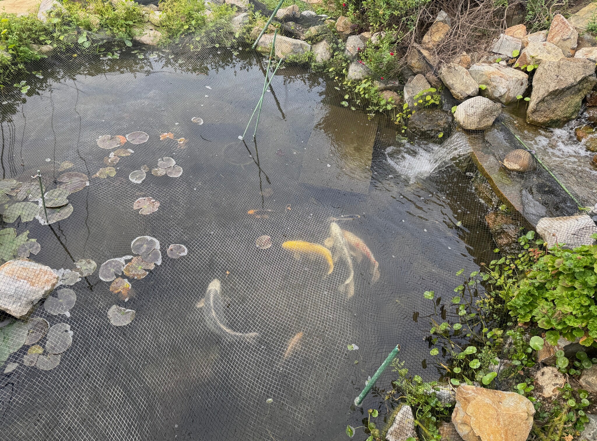 Building Photo - 8108 San Lucas Dr