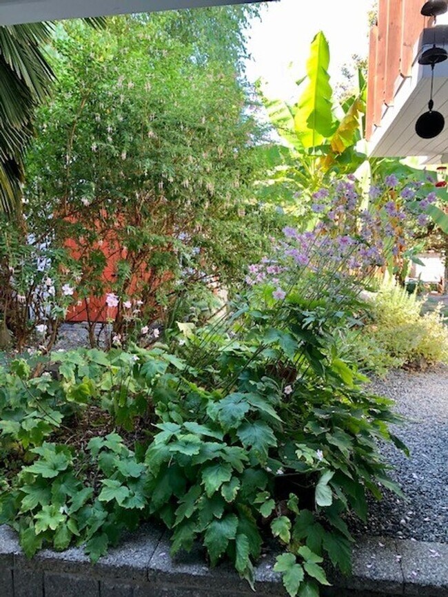 Building Photo - CARTAL DUPLEX