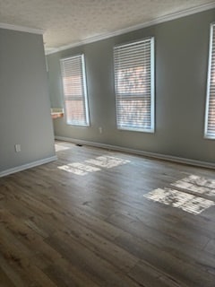 Primary with tons of light, vanity outside of Large walk-in closet - 8026 Brightlight Pl