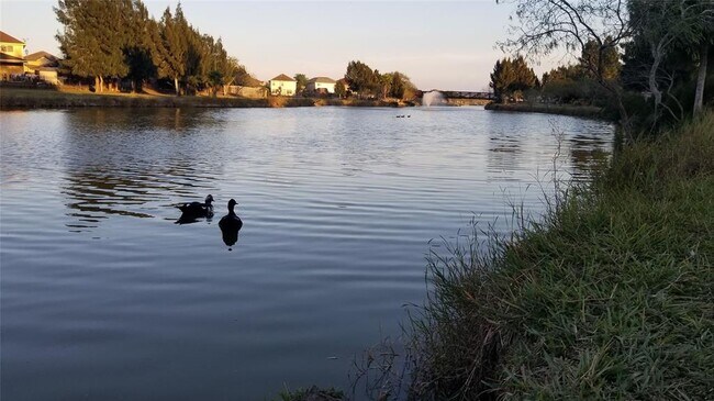 Building Photo - 3482 Chablis Dr